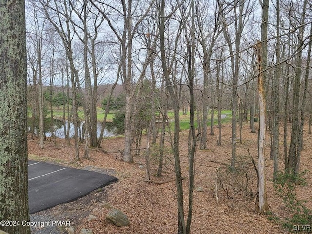 view of yard with a water view