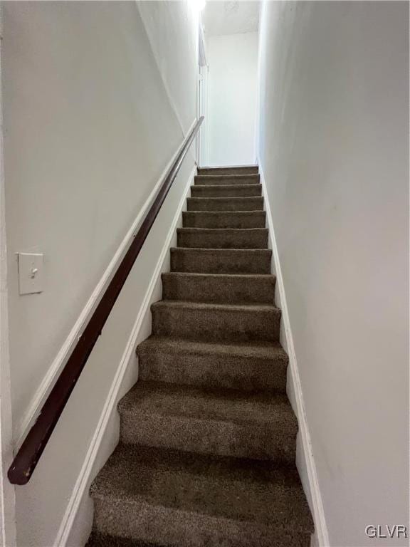 staircase featuring carpet floors