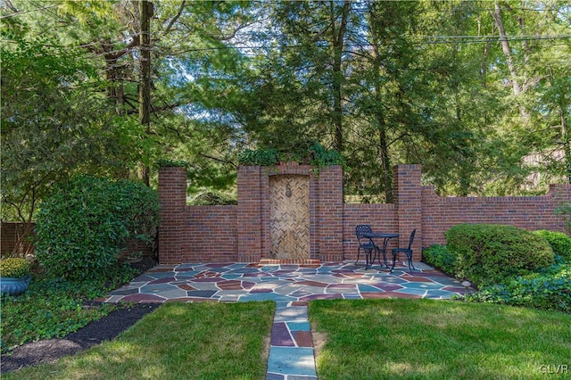 view of yard with a patio