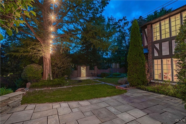 view of yard with a patio area