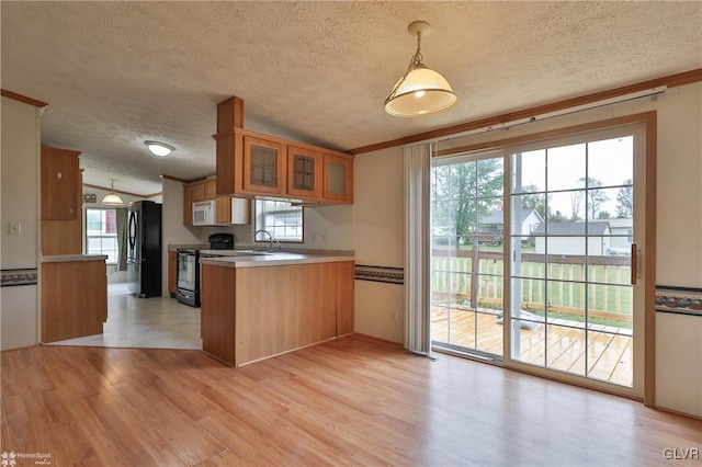 kitchen with hanging light fixtures, kitchen peninsula, light hardwood / wood-style flooring, black appliances, and a healthy amount of sunlight