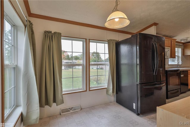 kitchen with a healthy amount of sunlight, black appliances, ornamental molding, and decorative light fixtures