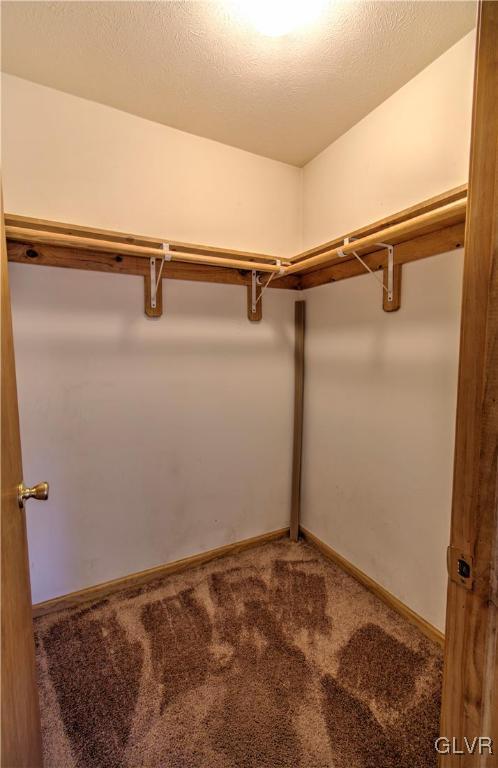 walk in closet featuring carpet