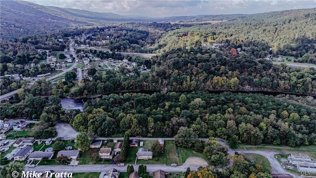 aerial view with a mountain view