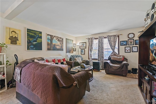 living room featuring light carpet