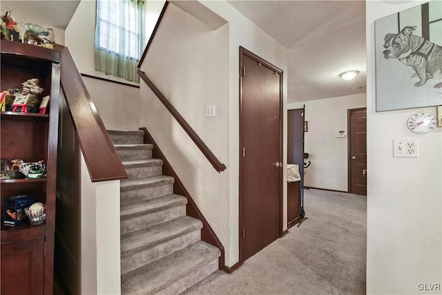 stairs with carpet floors