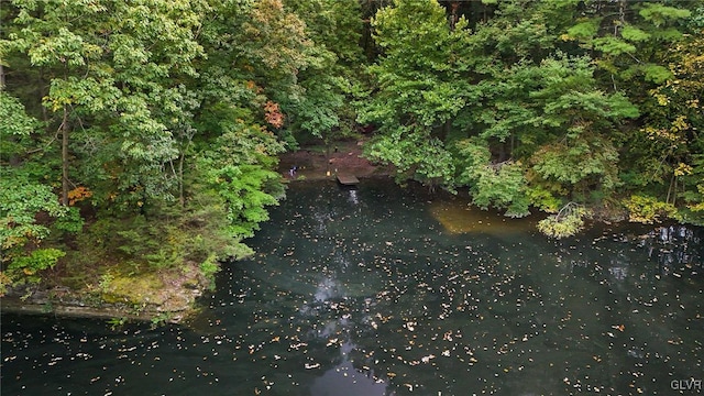 898 Browntown Rd, Plainfield Twp, PA 18064 - view of yard
