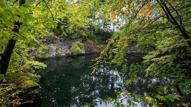 view of local wilderness