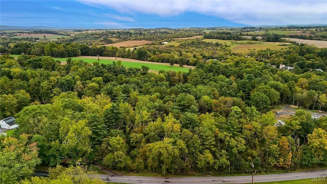 898 Browntown Rd, Plainfield Twp, PA 18064 - bird's eye view of a heavily wooded area