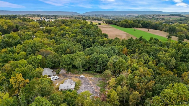 898 Browntown Rd, Plainfield Twp, PA 18064 - drone / aerial view of a heavily wooded area