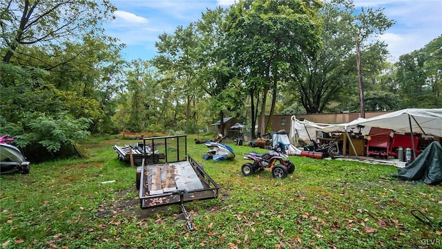 898 Browntown Rd, Plainfield Twp, PA 18064 - view of green lawn