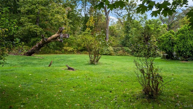 898 Browntown Rd, Plainfield Twp, PA 18064 - view of grassy yard