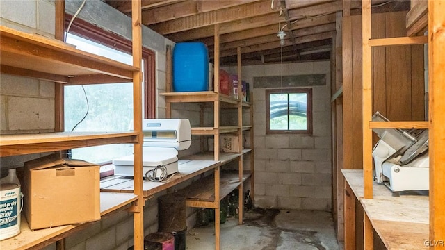 898 Browntown Rd, Plainfield Twp, PA 18064 - view of storage area