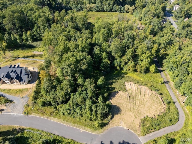 5310 Saucon Ridge Rd, Upper Saucon Twp, PA 18036 - view of property location with a heavily wooded area