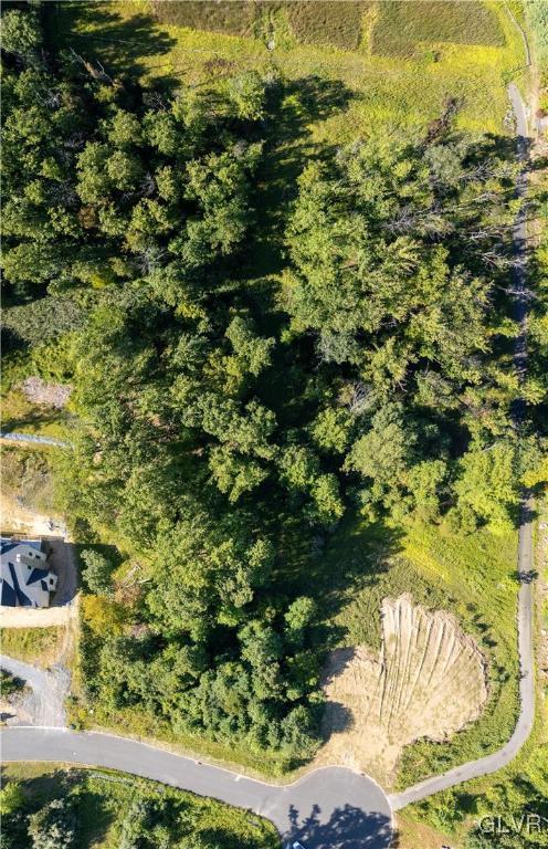 5310 Saucon Ridge Rd, Upper Saucon Twp, PA 18036 - aerial view of property's location