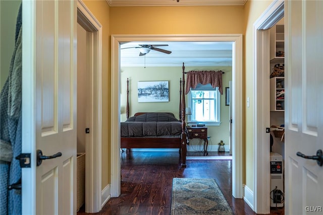 corridor with crown molding and dark wood-type flooring