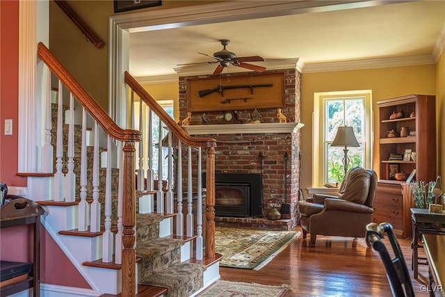 interior space featuring crown molding, a fireplace, ceiling fan, and hardwood / wood-style flooring