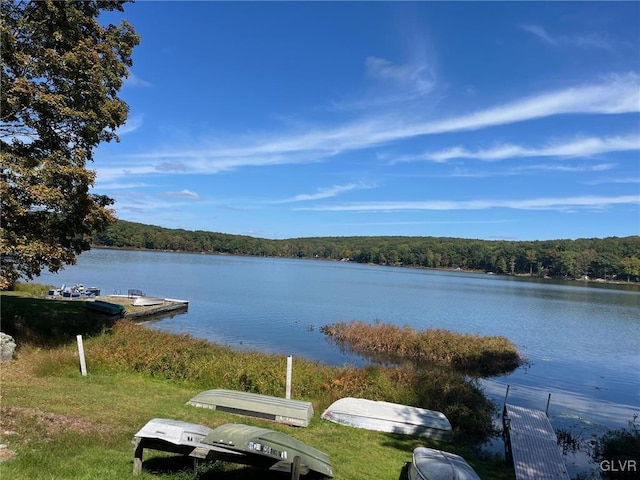 property view of water with a dock