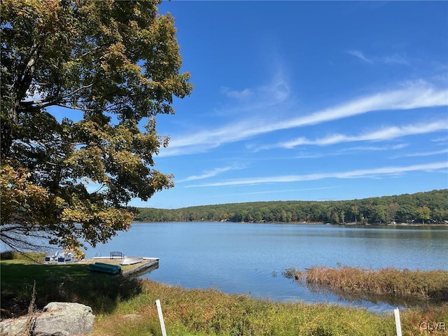 property view of water with a dock