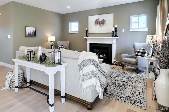 living room featuring light hardwood / wood-style flooring