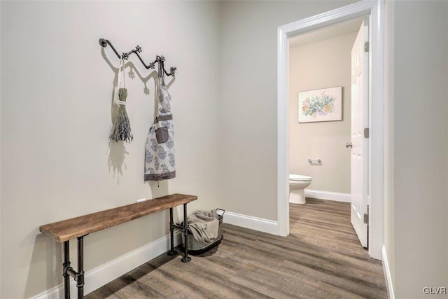 mudroom with hardwood / wood-style floors