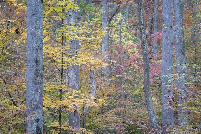 view of landscape