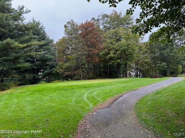 view of community with a yard