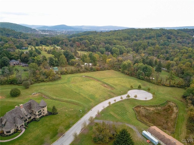 bird's eye view with a view of trees and a mountain view