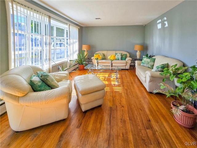 living room featuring light hardwood / wood-style flooring