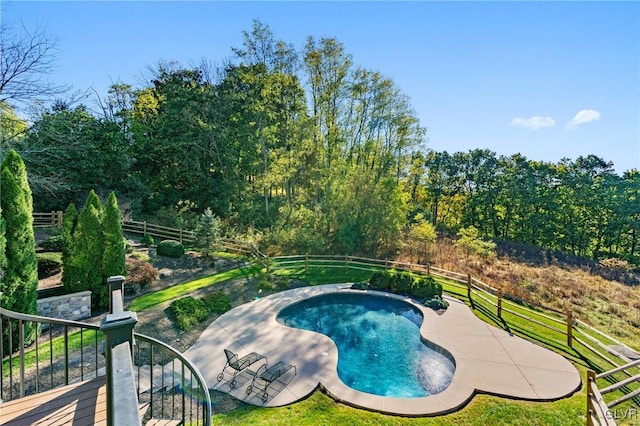 view of swimming pool featuring a patio area