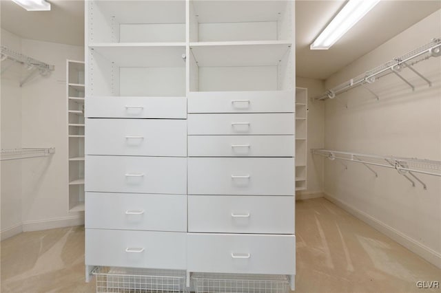 walk in closet with light colored carpet