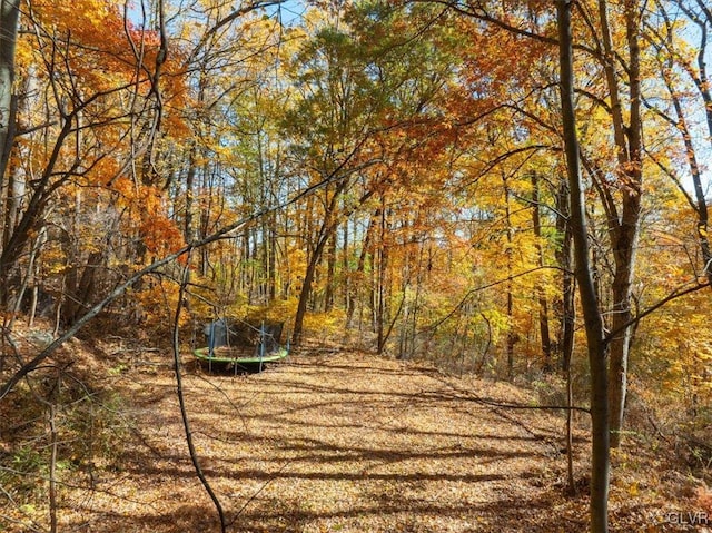 view of yard featuring a trampoline