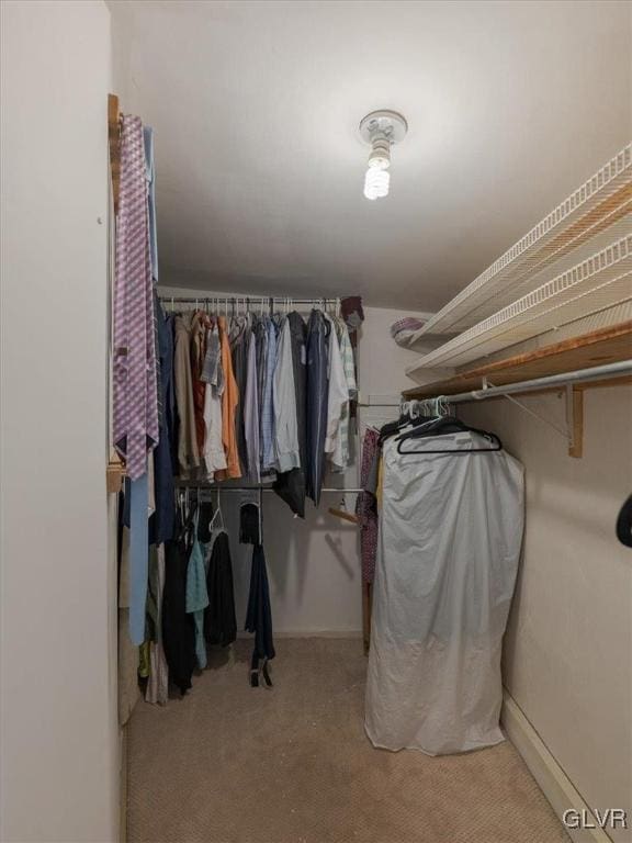 spacious closet featuring light carpet