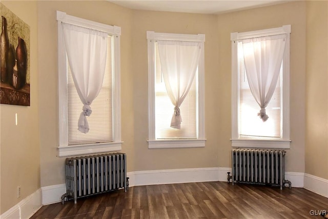 interior space featuring dark hardwood / wood-style floors and radiator