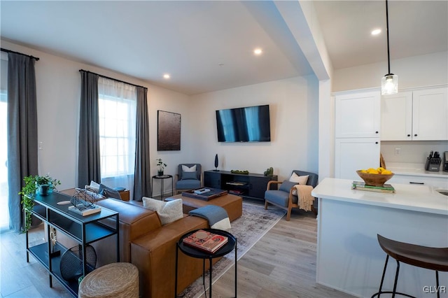 living room with light hardwood / wood-style flooring