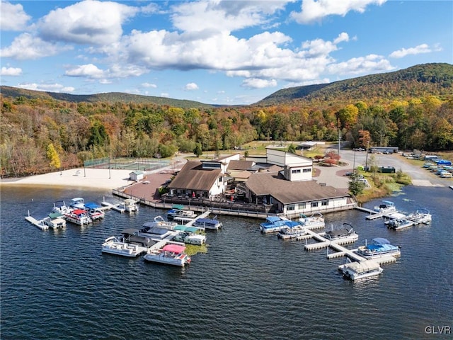 273 Four Seasons Dr, Luzerne, PA 18222 - photo 45
