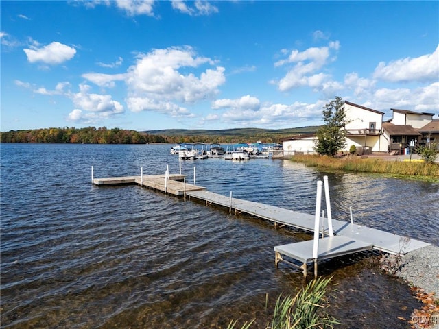 273 Four Seasons Dr, Luzerne, PA 18222 - photo 46