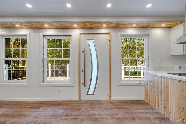 doorway to outside featuring light hardwood / wood-style flooring and a wealth of natural light