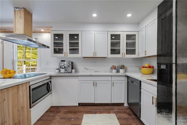 kitchen featuring appliances with stainless steel finishes, island range hood, white cabinetry, and dark hardwood / wood-style floors