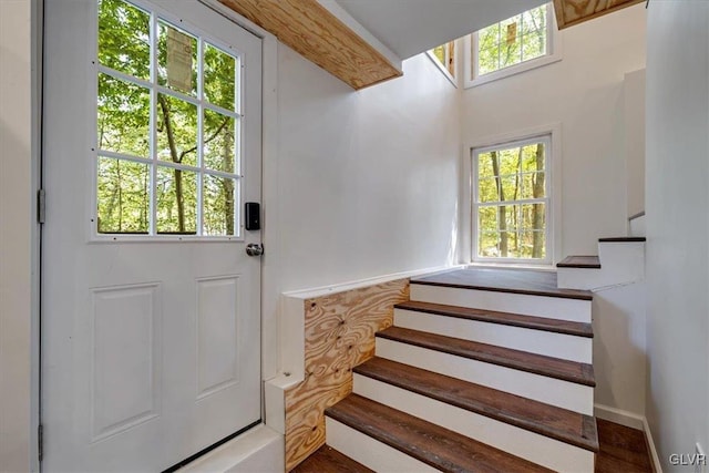 entryway featuring dark hardwood / wood-style flooring