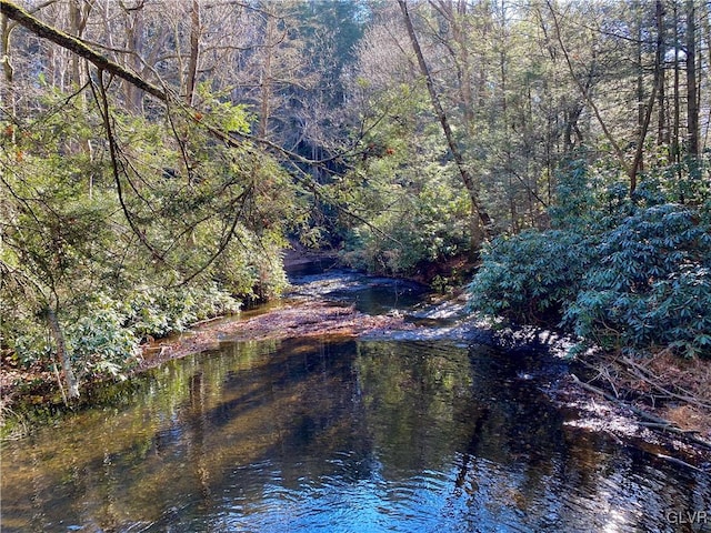 view of water feature