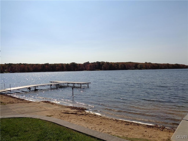 144 Dogwood Dr, Penn Forest Township, PA 18229 - dock with a water view