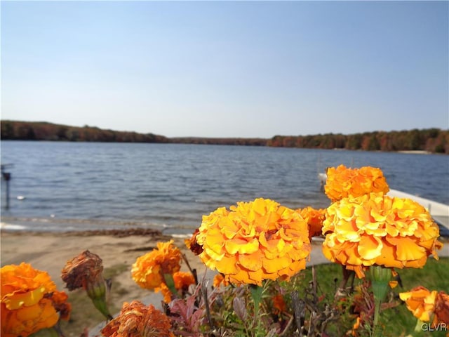 property view of water