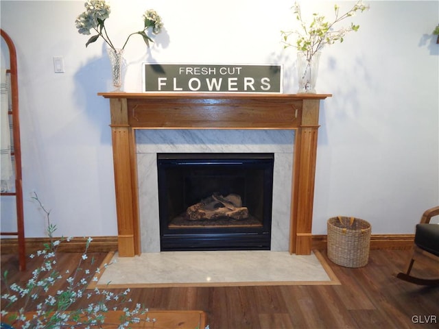 details featuring hardwood / wood-style flooring and a premium fireplace