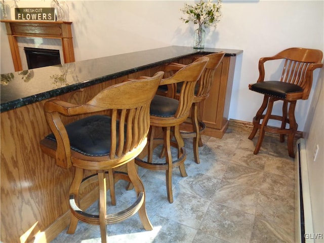 144 Dogwood Dr, Penn Forest Township, PA 18229 - indoor dry bar with baseboards and a fireplace