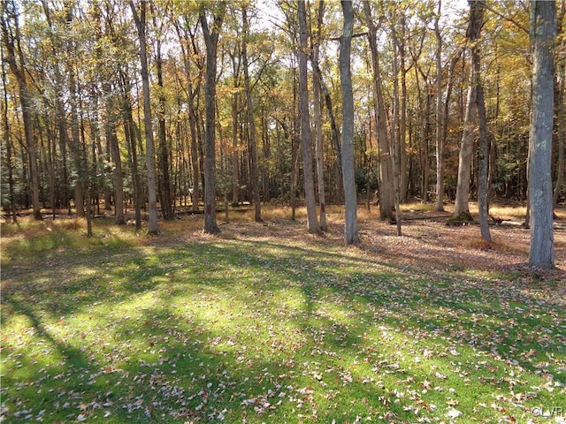 144 Dogwood Dr, Penn Forest Township, PA 18229 - view of yard featuring a wooded view