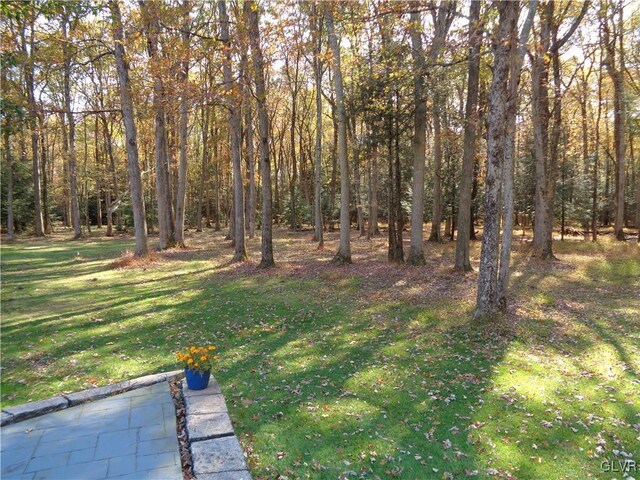 144 Dogwood Dr, Penn Forest Township, PA 18229 - view of grassy yard with a view of trees