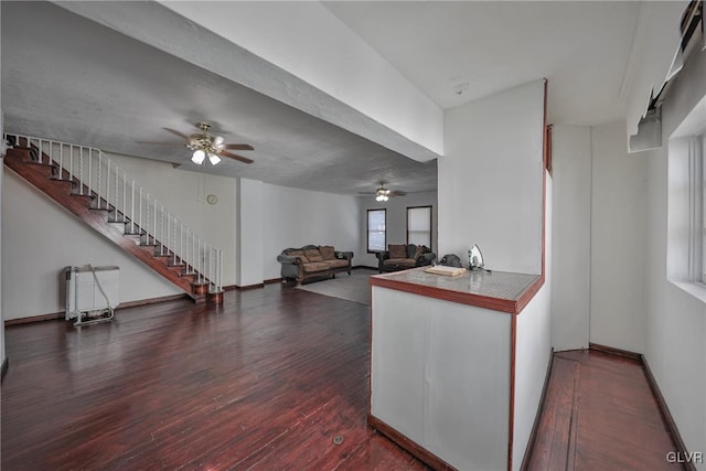 kitchen featuring dark hardwood / wood-style floors, radiator heating unit, and ceiling fan