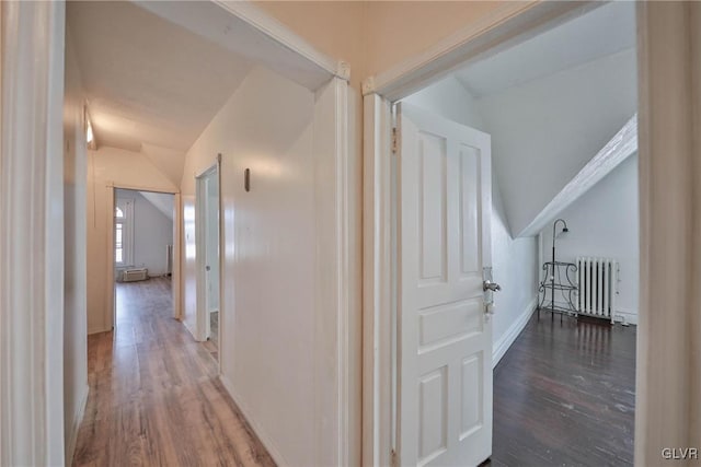 hall featuring lofted ceiling, dark hardwood / wood-style flooring, and radiator