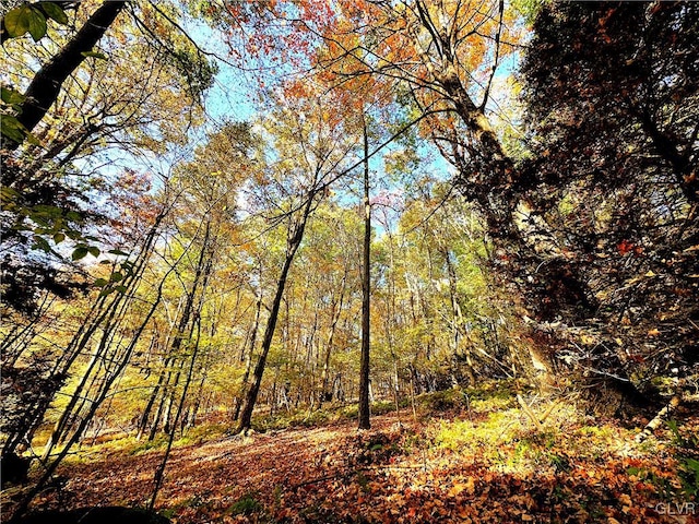 view of landscape